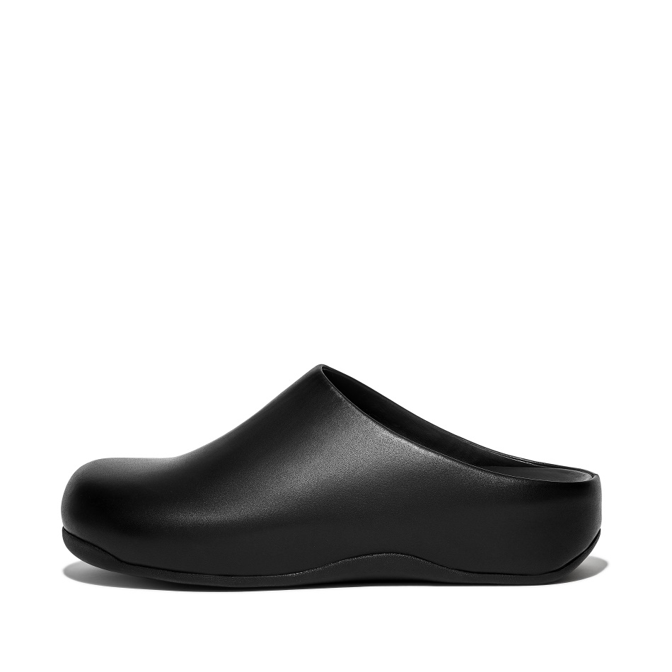 Fitflop Mens Leather Clogs Black